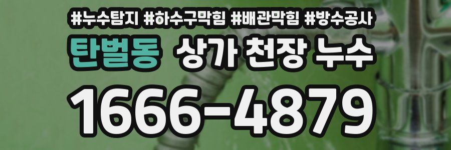 탄벌동 상가 천장 누수