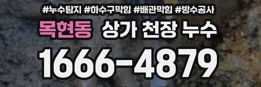 목현동 상가 천장 누수