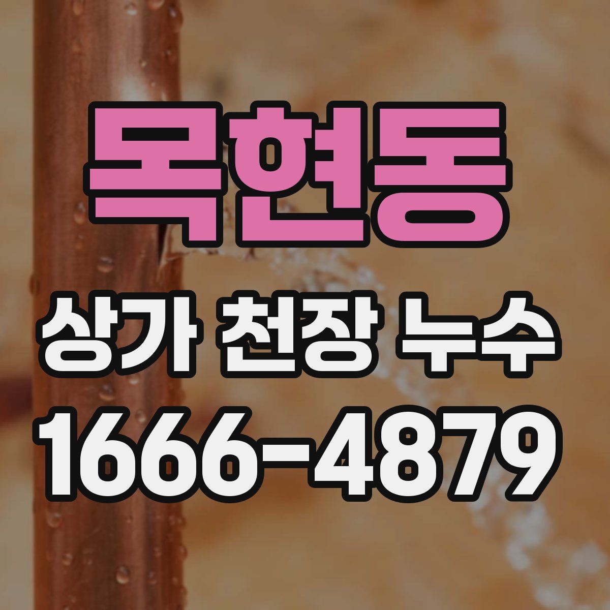 목현동 상가 천장 누수