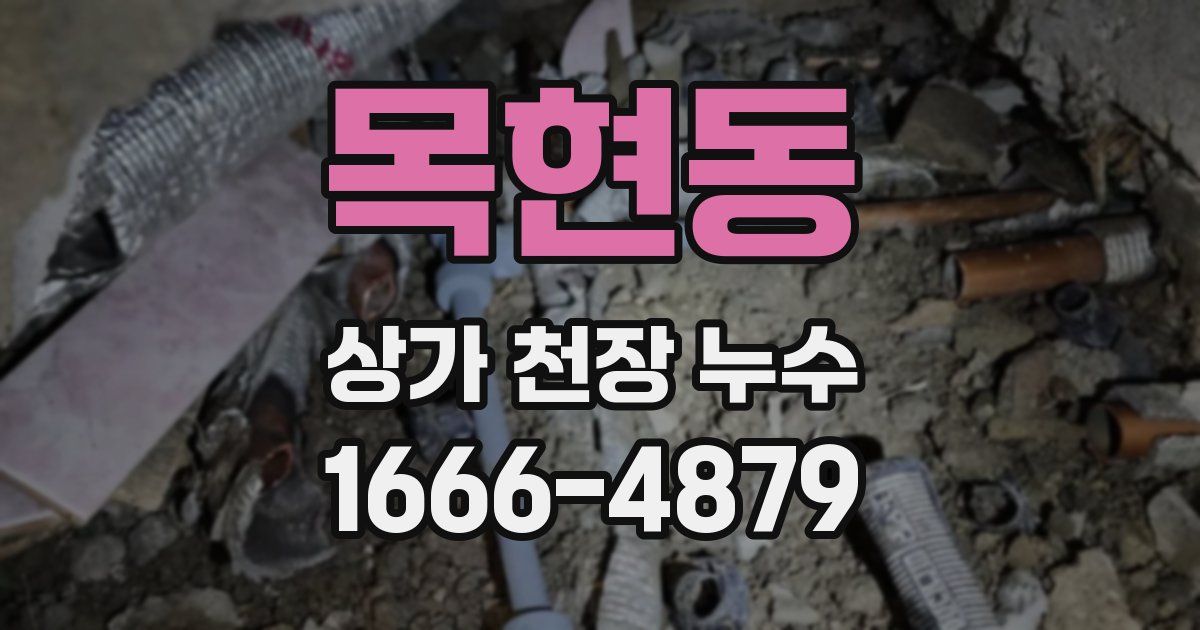 목현동 상가 천장 누수