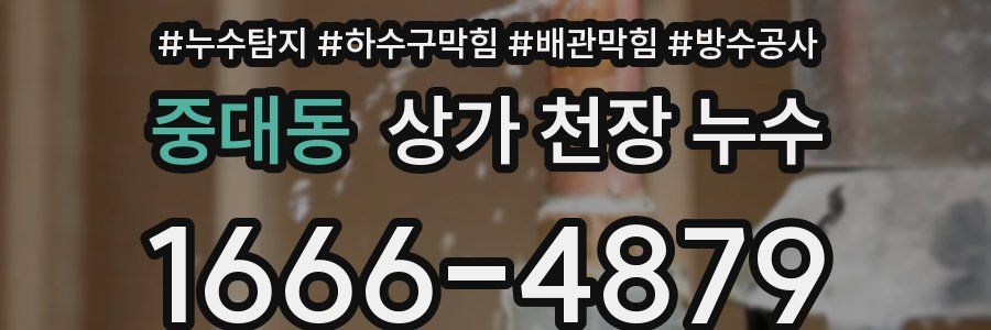 중대동 상가 천장 누수