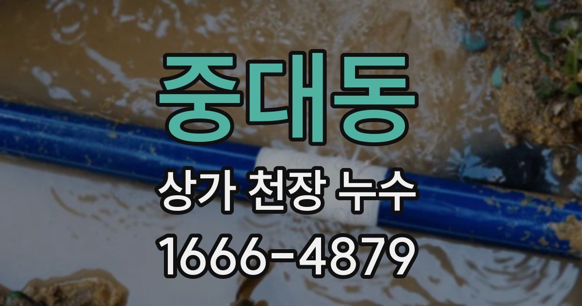 중대동 상가 천장 누수