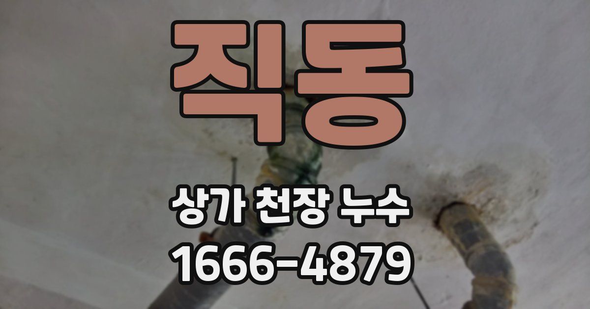 직동 상가 천장 누수