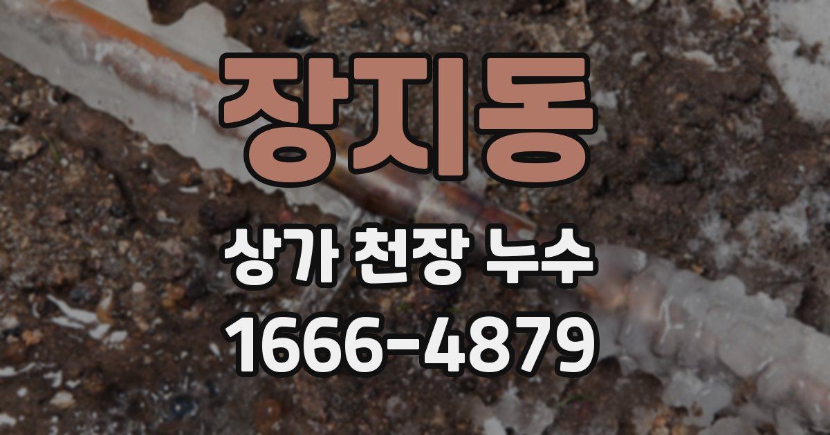 장지동 상가 천장 누수