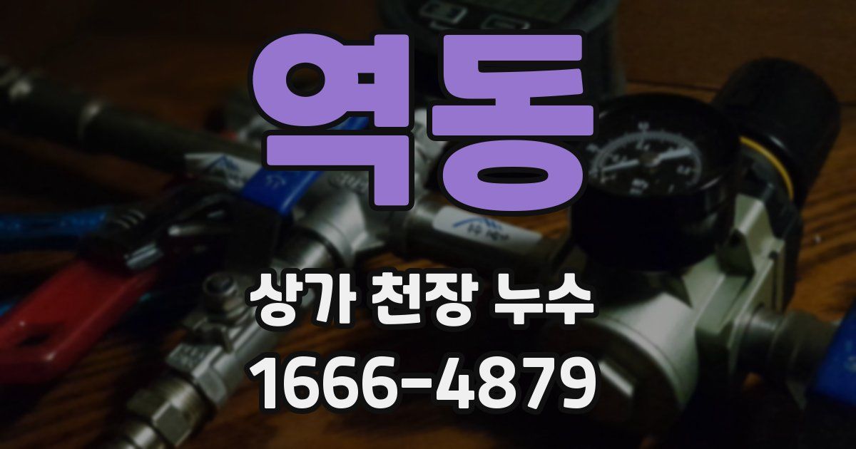 역동 상가 천장 누수