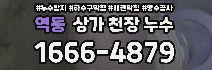 역동 상가 천장 누수