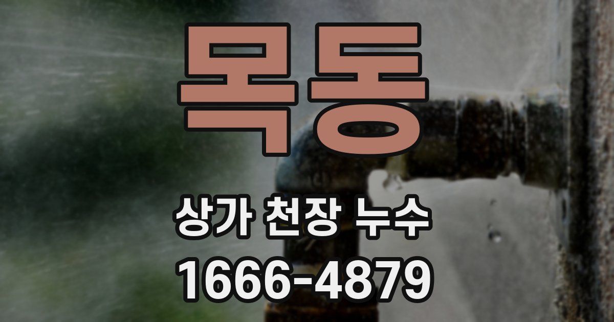 목동 상가 천장 누수