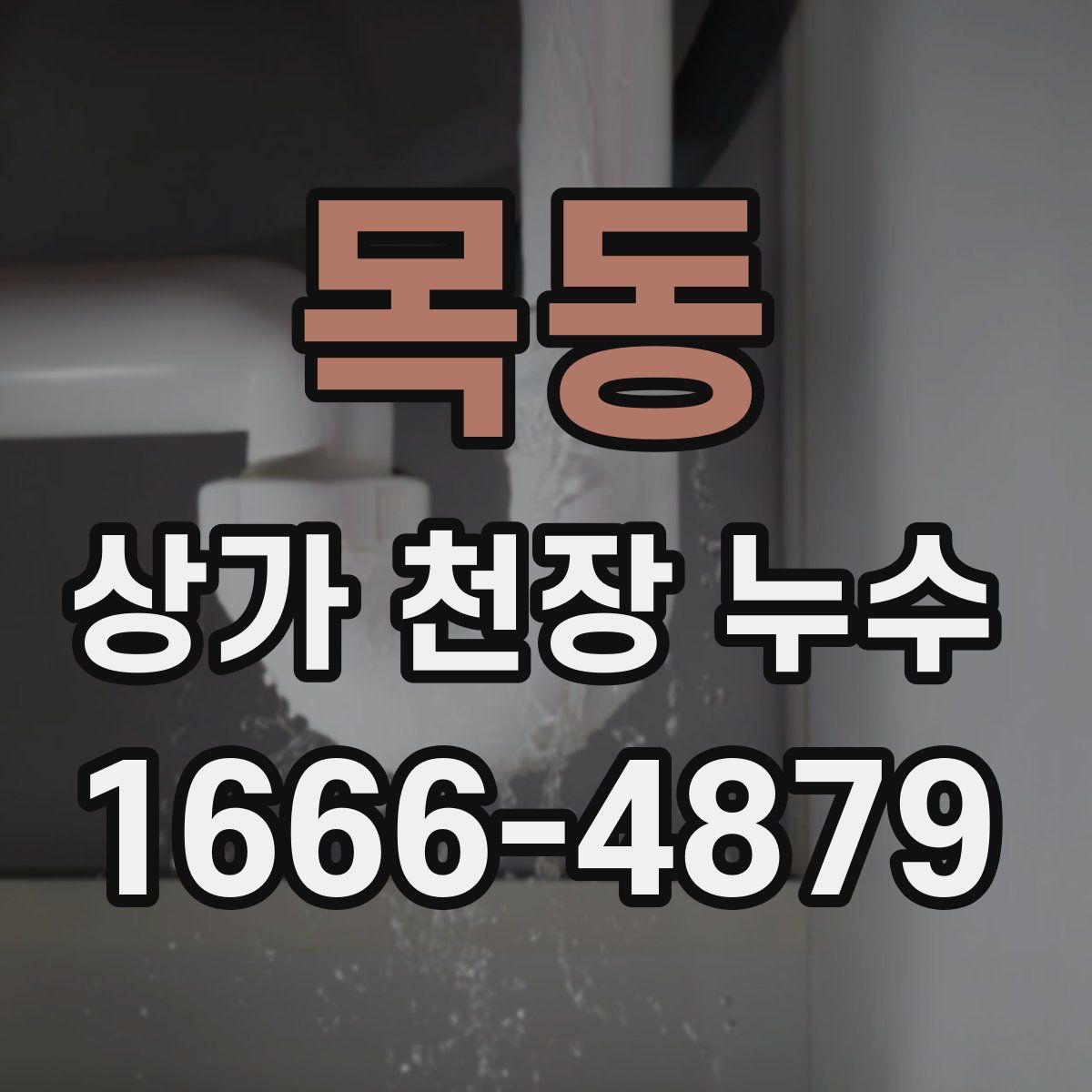 목동 상가 천장 누수