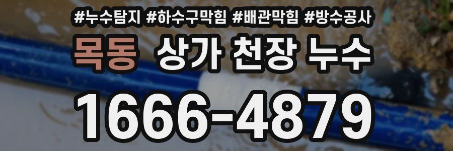 목동 상가 천장 누수