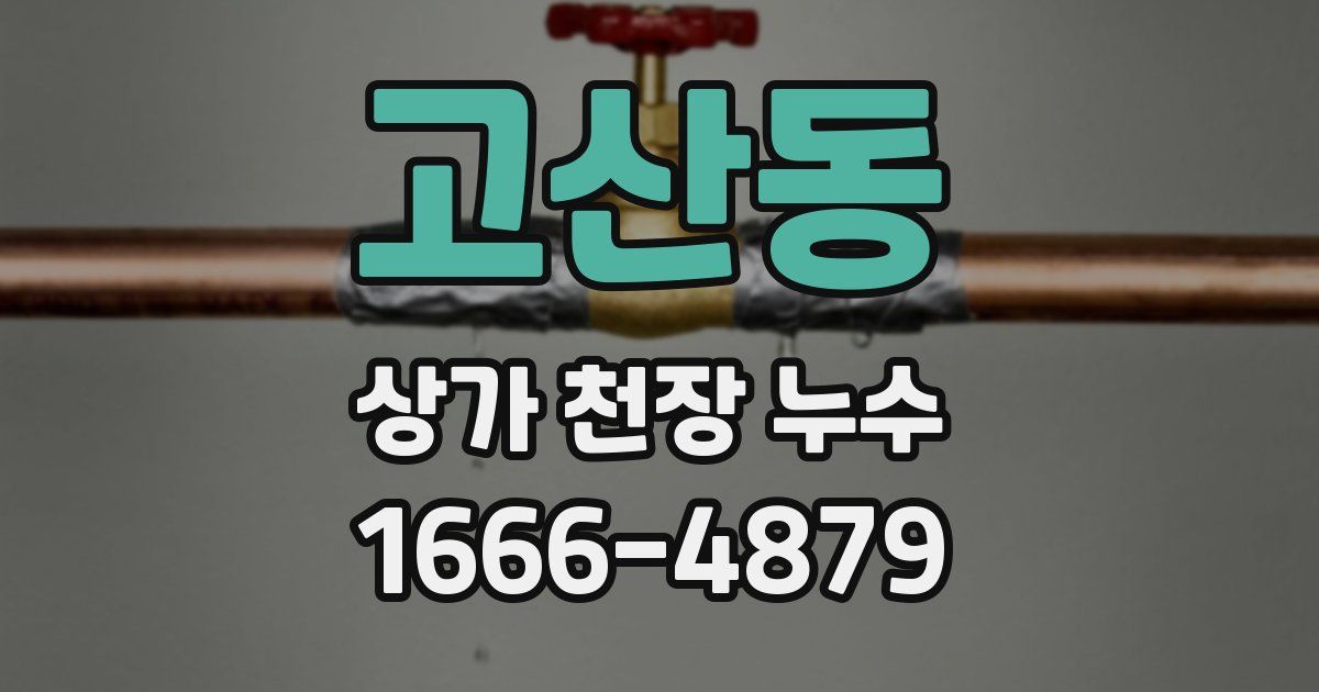 고산동 상가 천장 누수