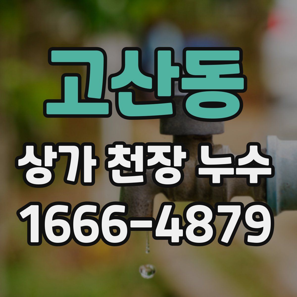 고산동 상가 천장 누수