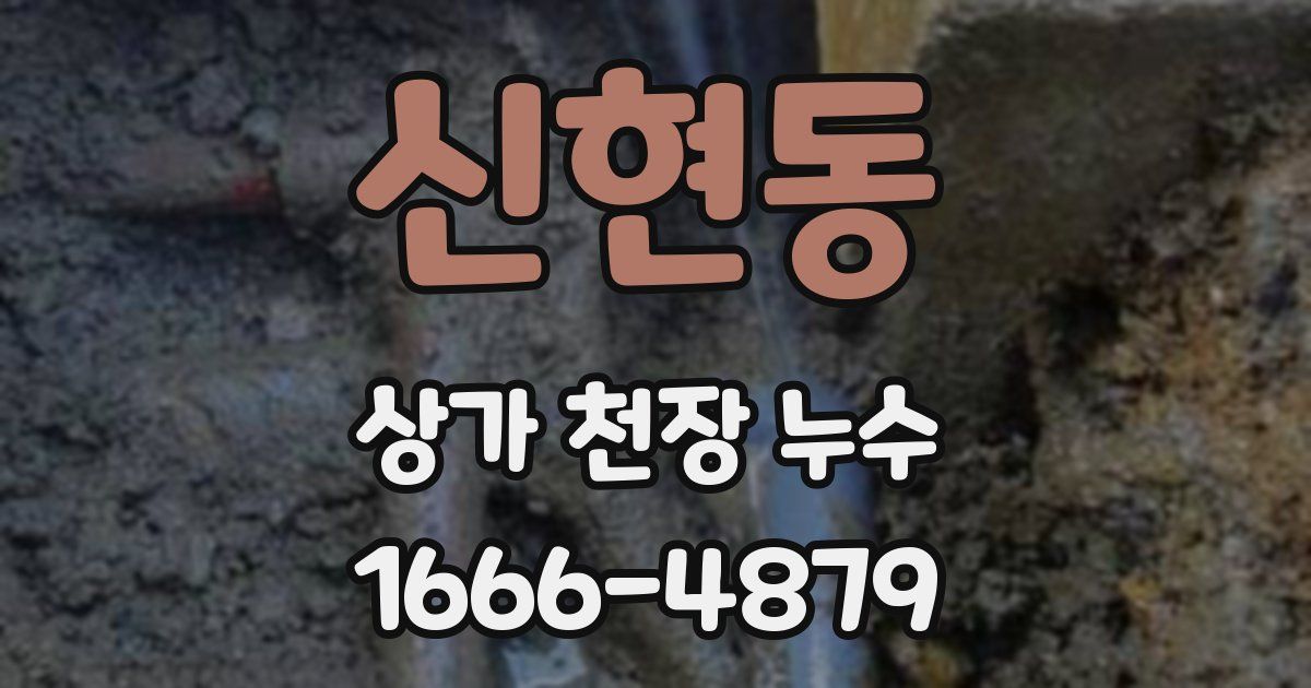 신현동 상가 천장 누수