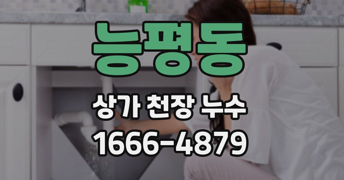 능평동 상가 천장 누수