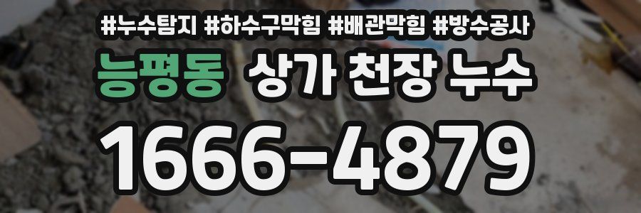 능평동 상가 천장 누수