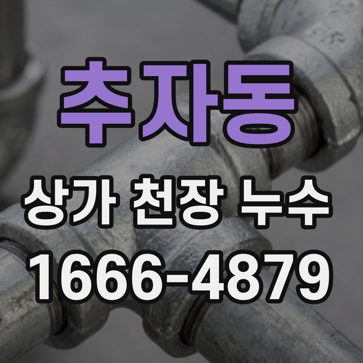 추자동 상가 천장 누수