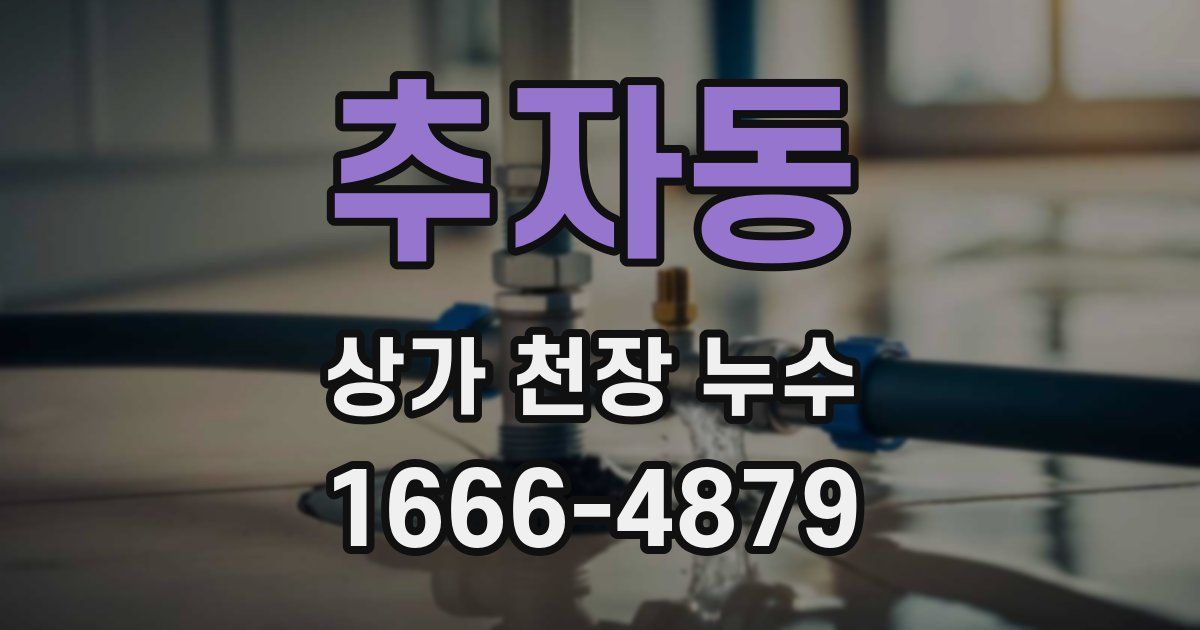 추자동 상가 천장 누수