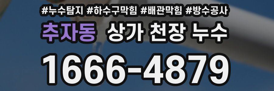 추자동 상가 천장 누수