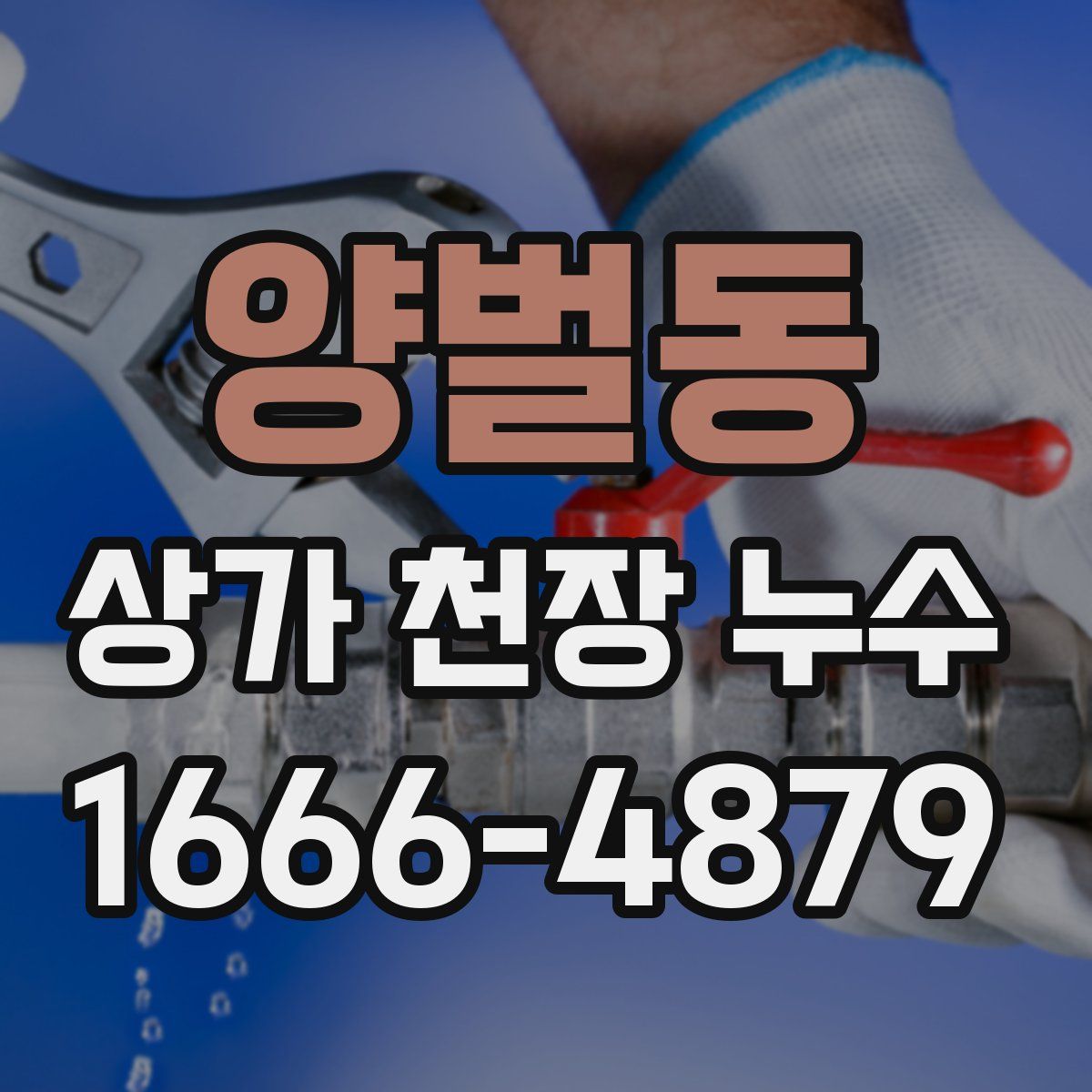양벌동 상가 천장 누수