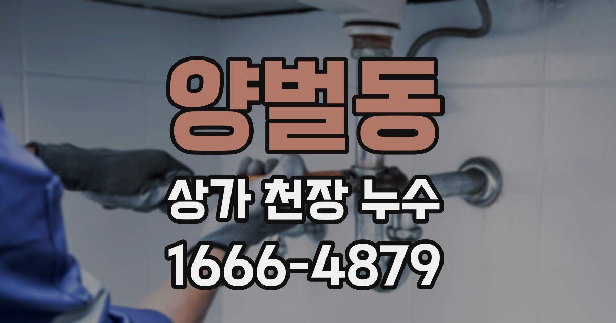 양벌동 상가 천장 누수