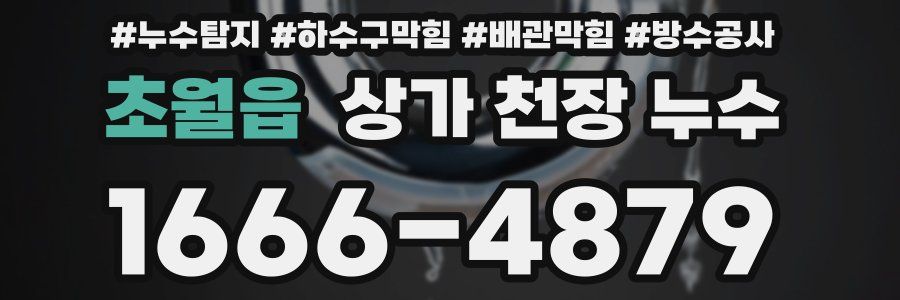 초월읍 상가 천장 누수