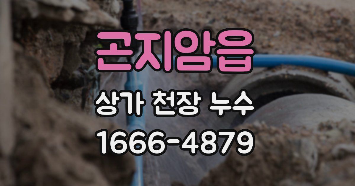 곤지암읍 상가 천장 누수