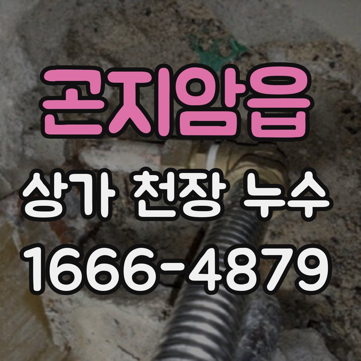 곤지암읍 상가 천장 누수