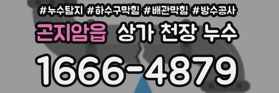 곤지암읍 상가 천장 누수
