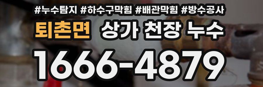 퇴촌면 상가 천장 누수
