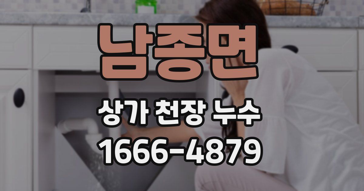 남종면 상가 천장 누수