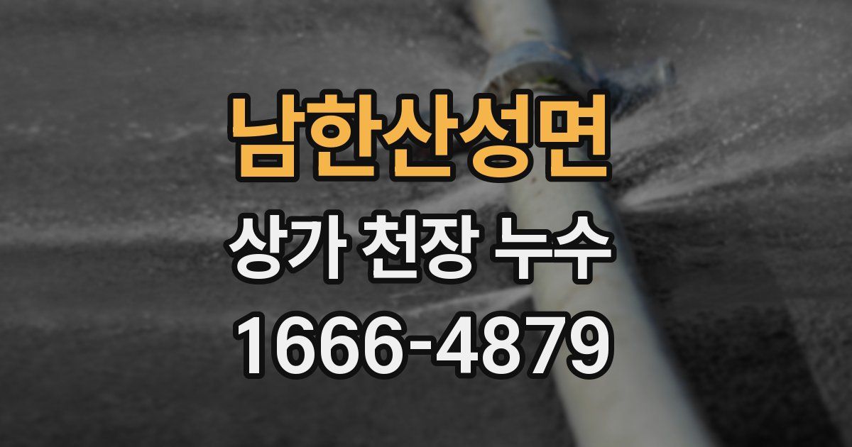 남한산성면 상가 천장 누수