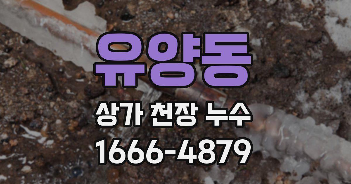 유양동 상가 천장 누수