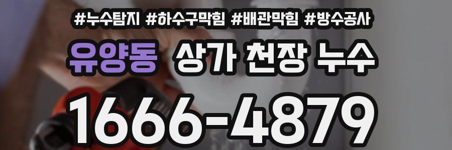유양동 상가 천장 누수