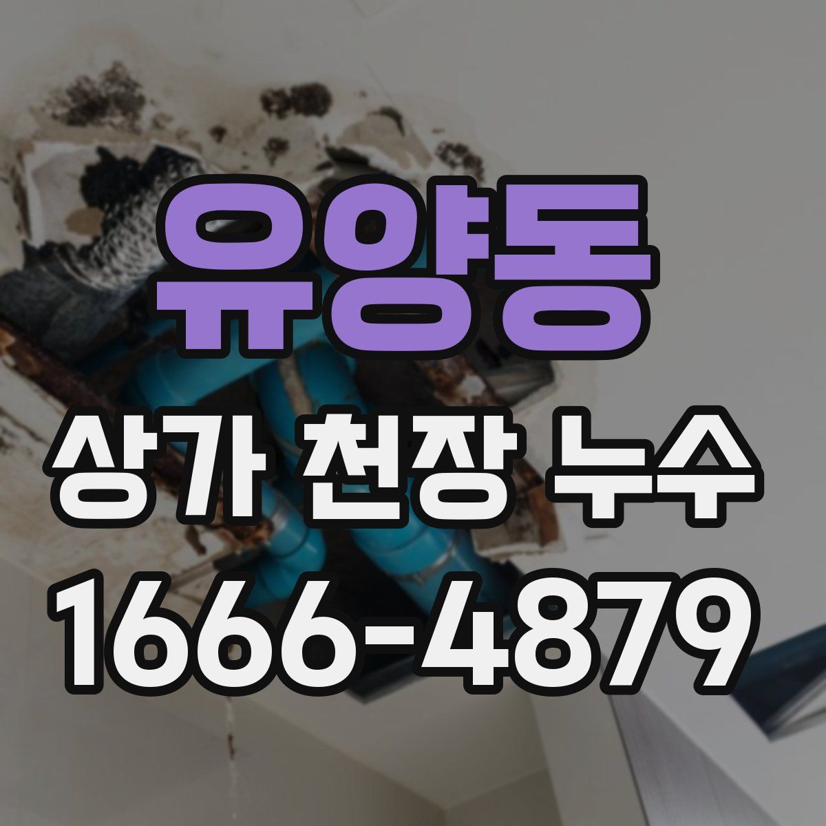 유양동 상가 천장 누수
