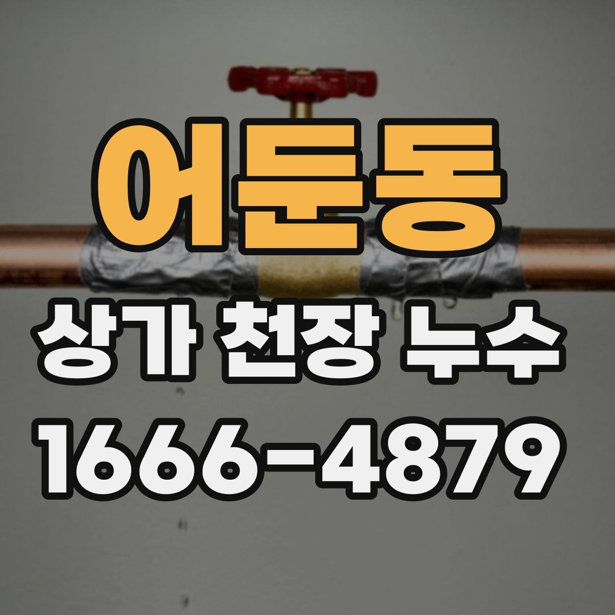 어둔동 상가 천장 누수