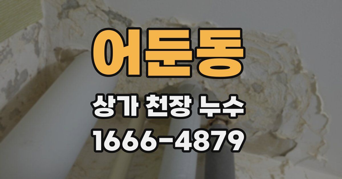 어둔동 상가 천장 누수