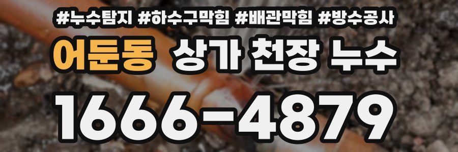 어둔동 상가 천장 누수