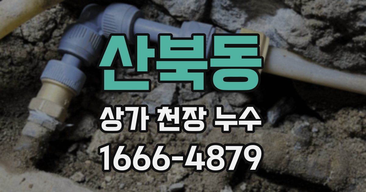 산북동 상가 천장 누수