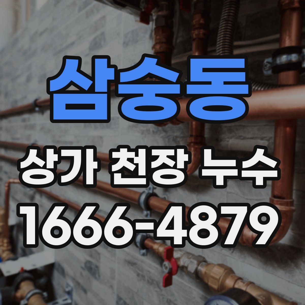 삼숭동 상가 천장 누수