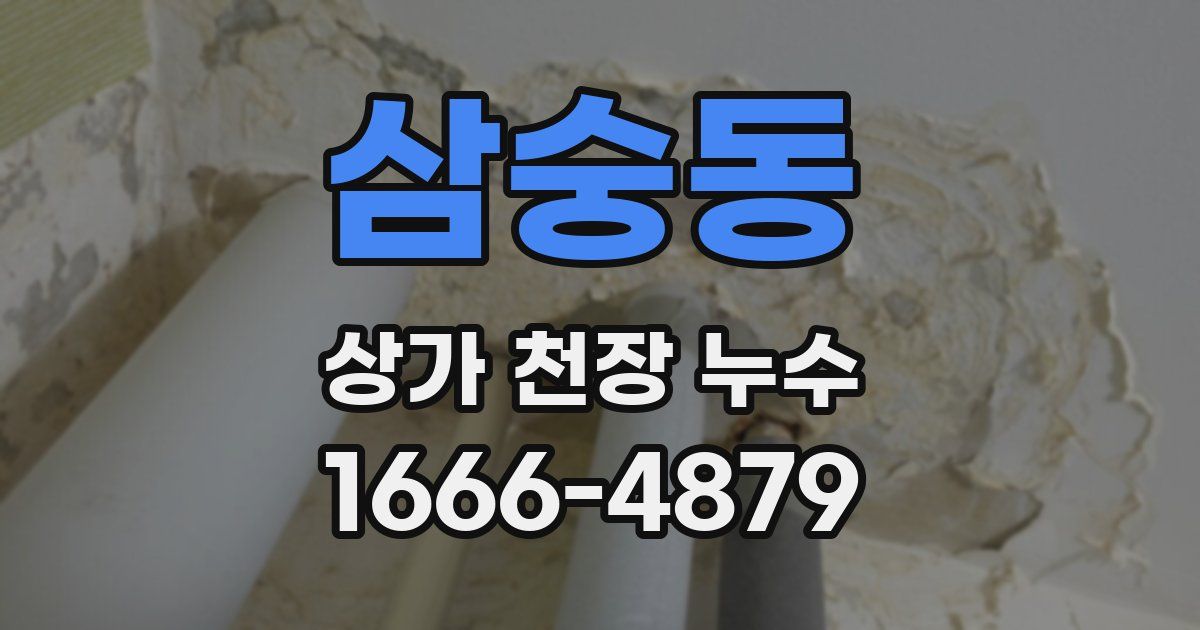 삼숭동 상가 천장 누수