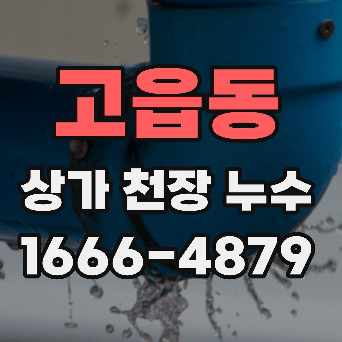 고읍동 상가 천장 누수