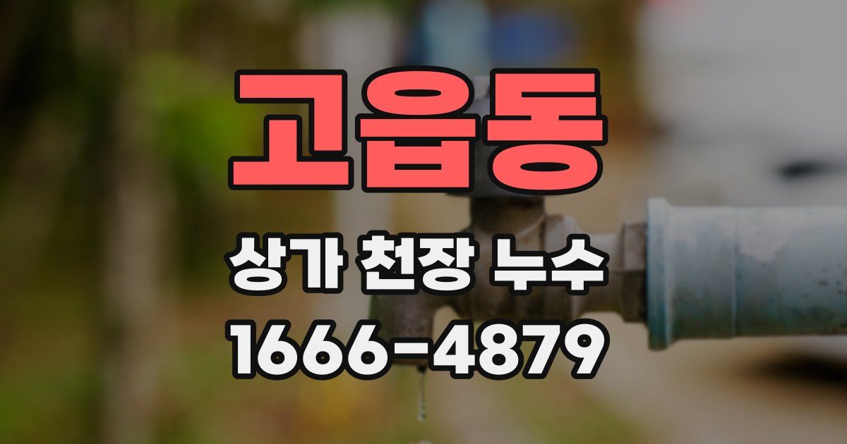고읍동 상가 천장 누수