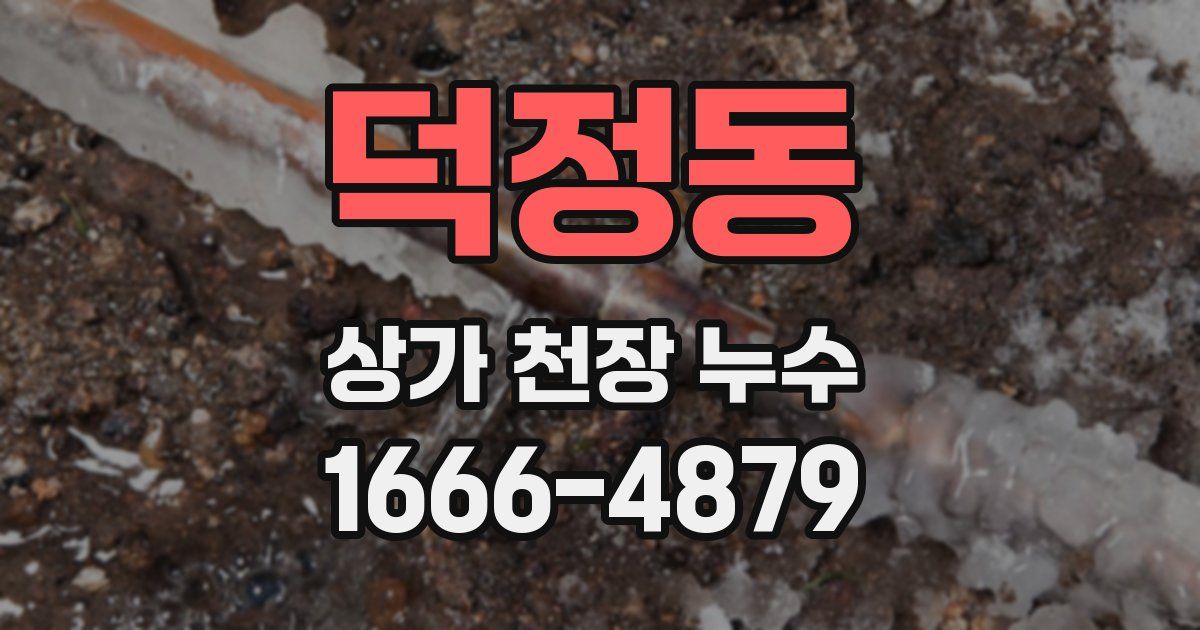 덕정동 상가 천장 누수