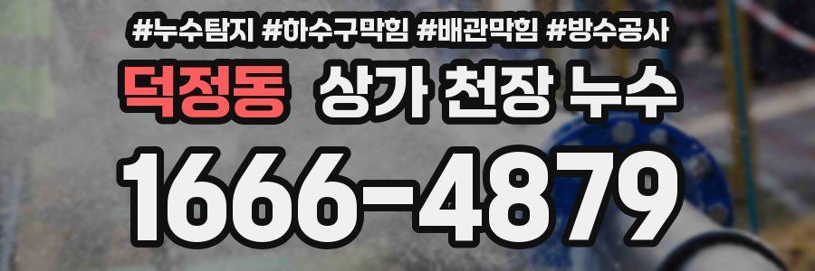 덕정동 상가 천장 누수