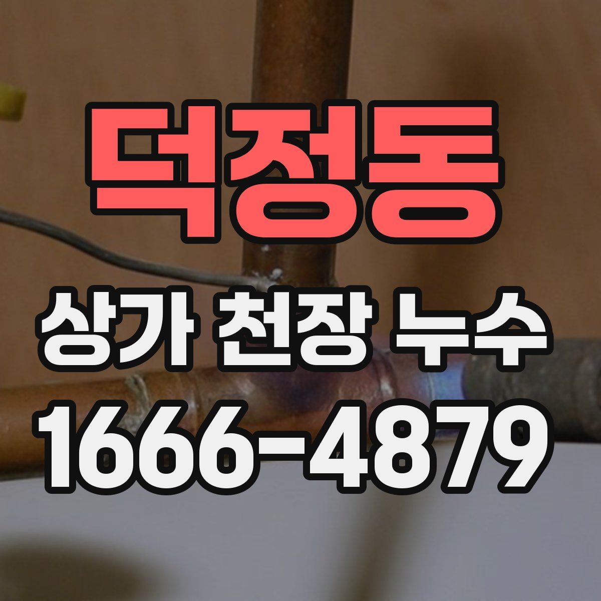 덕정동 상가 천장 누수