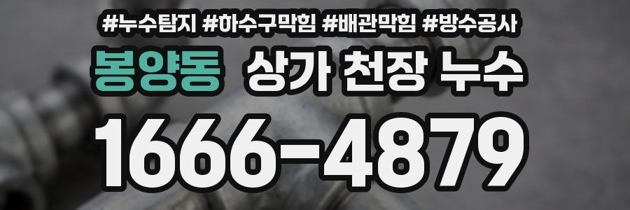 봉양동 상가 천장 누수