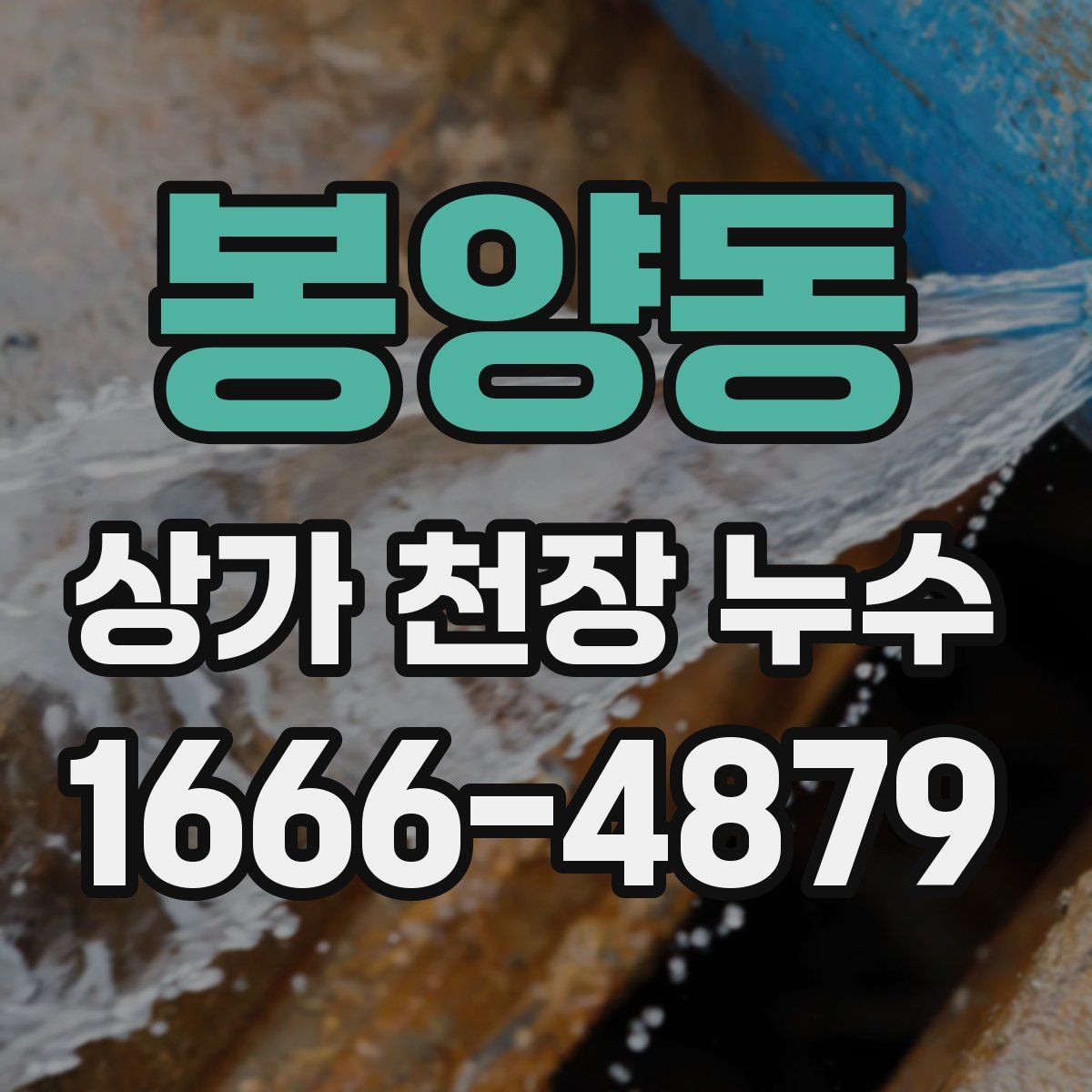 봉양동 상가 천장 누수
