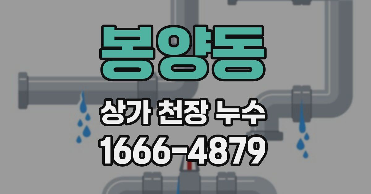 봉양동 상가 천장 누수