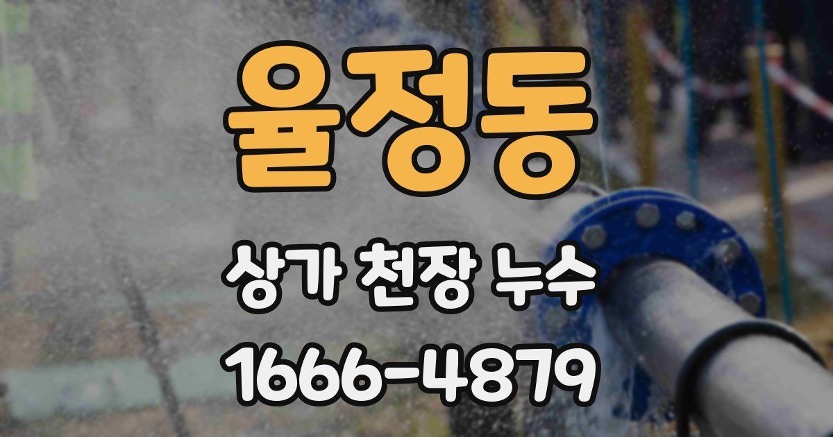 율정동 상가 천장 누수