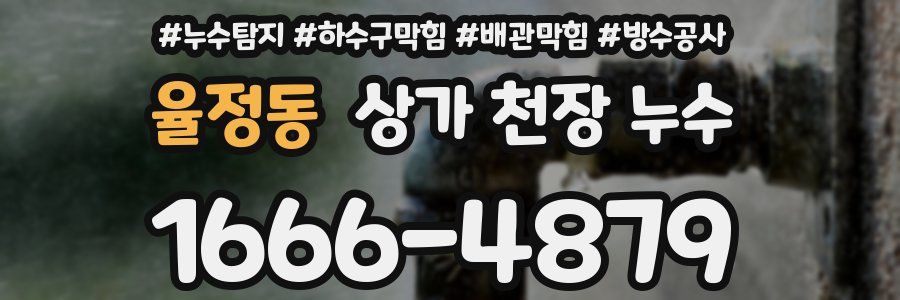 율정동 상가 천장 누수