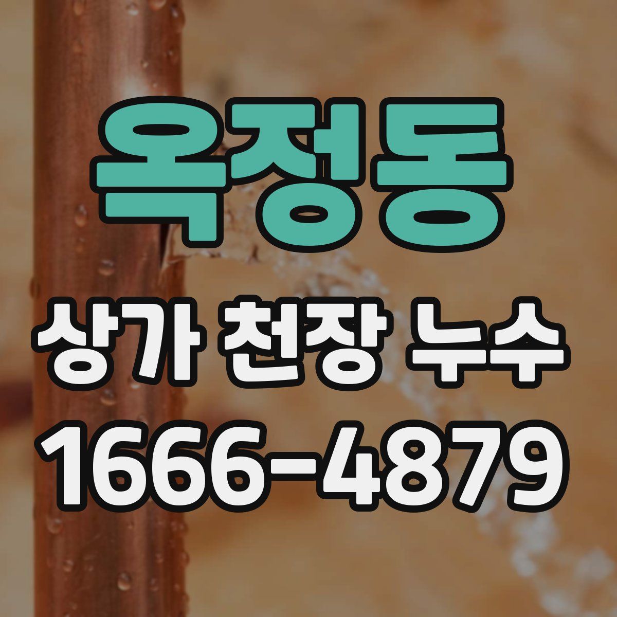 옥정동 상가 천장 누수